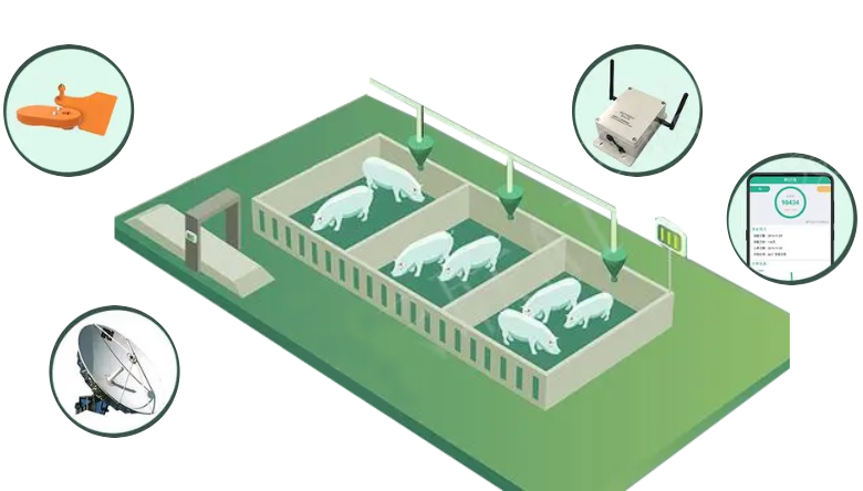 智慧畜牧养殖解决方案
